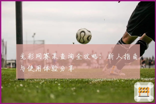 竞彩网赛果查询全攻略：新人指南与使用体验分享