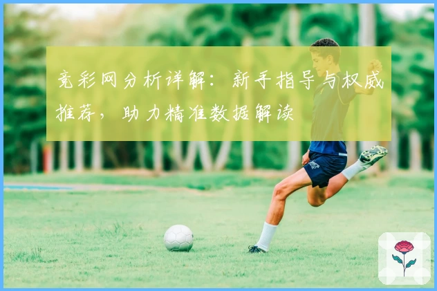 竞彩网分析详解：新手指导与权威推荐，助力精准数据解读
