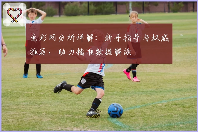 竞彩网分析详解：新手指导与权威推荐，助力精准数据解读